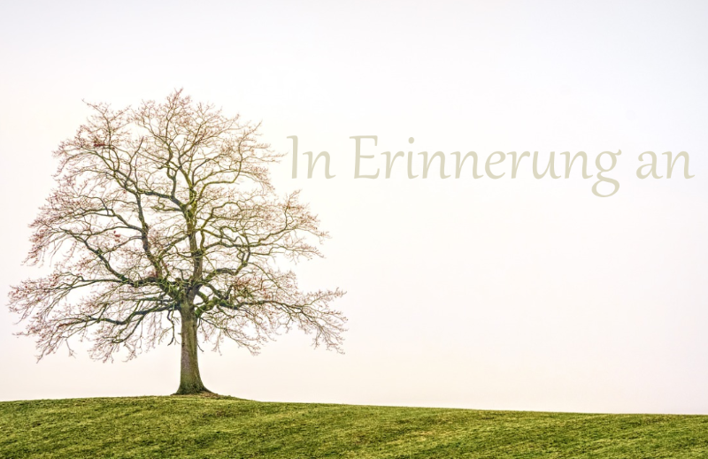 Profilbild von Gerda Sch&ouml;nfelder