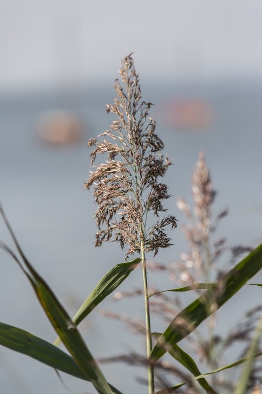 Profilbild von Ursula Jochheim